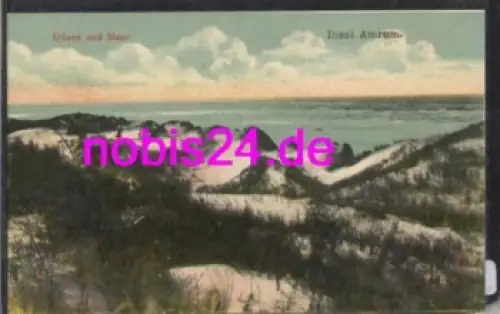 25946 Insel Amrum Dünenlandschaft * ca.1915