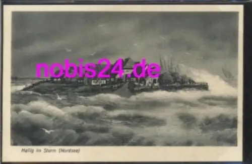 25859 Hallig im Sturm Nordsee *ca.1940