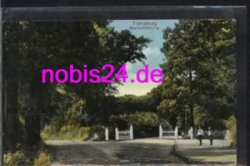 Flensburg Marienhölzung o 11.10.1913