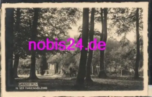 Flensburg in der Marienhölzung *ca.1950