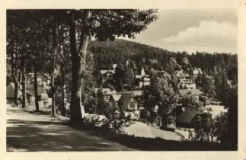 01773 Bärenfels Altenberg o 6.7.1953