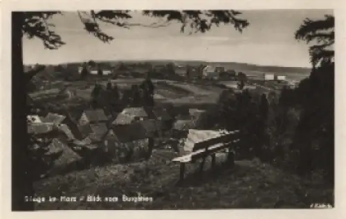 38889 Stiege im Harz vom Burgstieg * ca. 1950