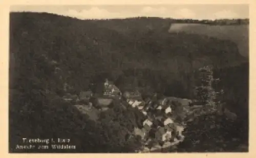 38889 Treseburg Harz vom Wildstein * ca. 1960