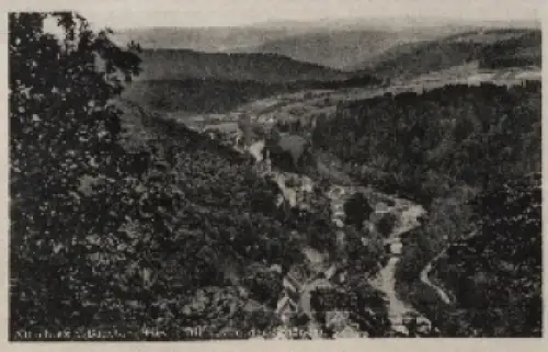 38889 Altenbrak Harz Bodetal *ca. 1950