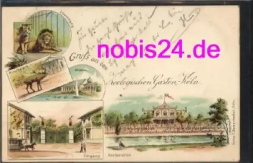 Köln Zoologischer Garten Litho o 3.5.1896