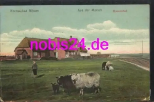25761 Büsum  Aus der Marsch Bauerhof o 12.9.1908