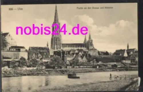 Ulm Donau Münster  *ca.1915