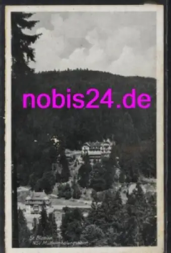 79837 St. Blasien NSV Muttererholungsheim  *ca.1930