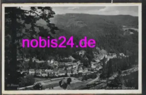 79837 St. Blasien Talblick vom Berg *ca.1955