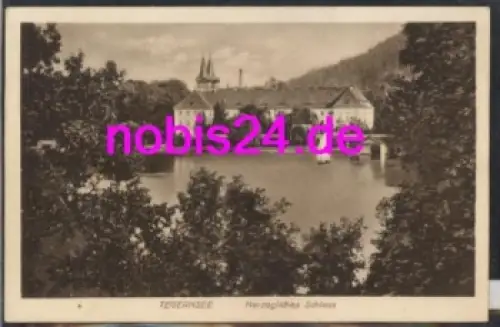 83684 Tegernsee Schloss o 17.7.1921