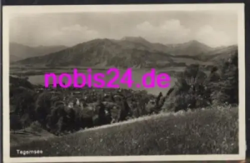 83684 Tegernsee vom Berg *ca.1930
