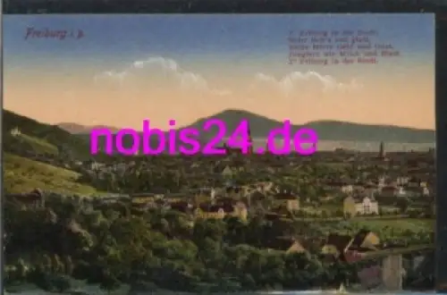 Freiburg Breisgau *ca.1920