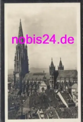 Freiburg Münster vom Schloßberg  *ca.1930