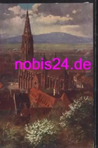 Freiburg Blick zum Münster Künstlerkarte *ca.1920