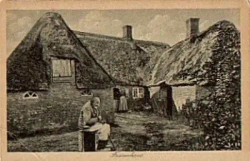 26548 Norderney Friesenhaus *ca. 1920