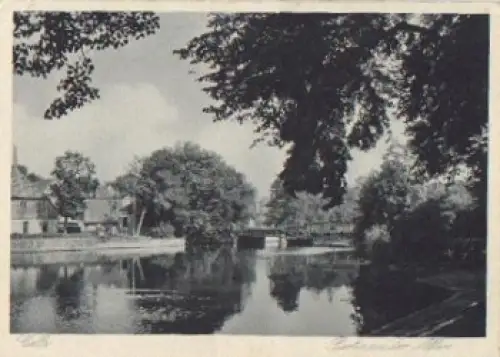 Celle an der Aller, * ca. 1940