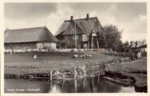 25859 Hallig Hooge Kirchwarf * ca. 1930