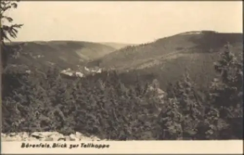 01773 Bärenfels Altenberg Blick zur Tellkoppe o 2.8.1962