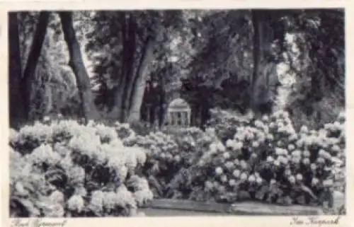 31812 Bad Pyrmont Kurpark o 11.6.1936