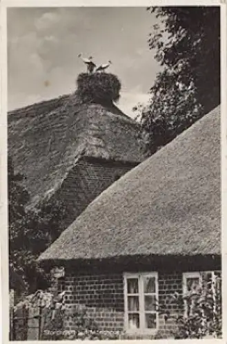 18586 Mönchgut Storchennest o 27.7.1930