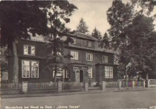 38875 Elend Mandelholz Grüne Tanne *ca. 1955