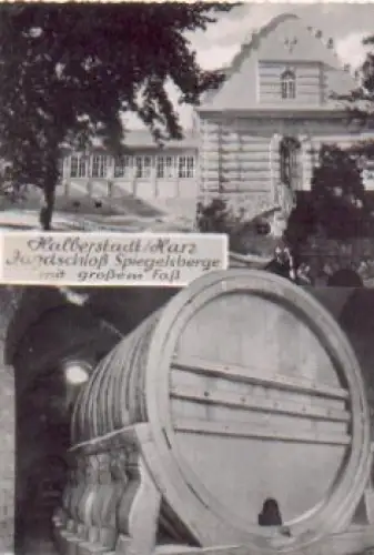 38820 Halberstadt Jagdschloss Spiegelsberg gebr. 8.5.1962