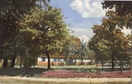 27726 Worpswede Sommertag * ca. 1920