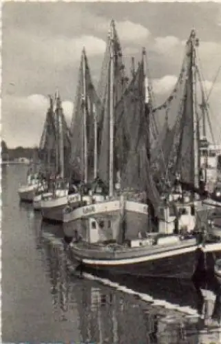 24340 Eckernförde Fischerboote o ca. 17.7.1960