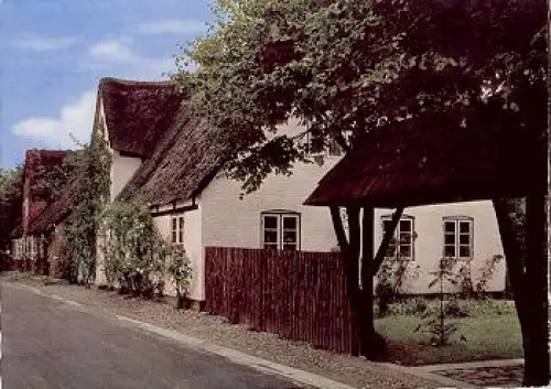 25937 Nieblum Insel Föhr Rosenhaus * ca. 1960