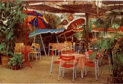 29664 Walsrode Vogelpark Tropencafe in Paradieshalle * ca. 1960