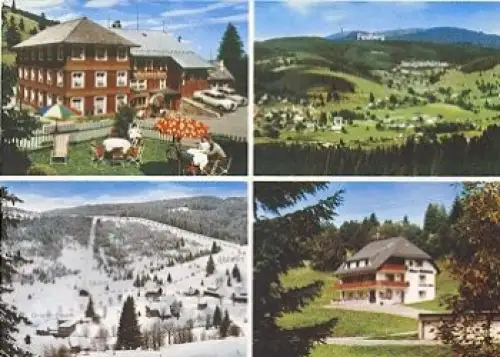 79868 Feldberg 1 Hotel Grüner Baum Gasthaus Hubertus o 2.1.1981