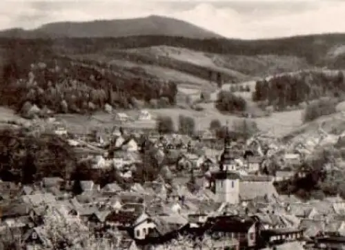 98587 Steinbach-Hallenberg mit Hermannsberg o 25.6.1974
