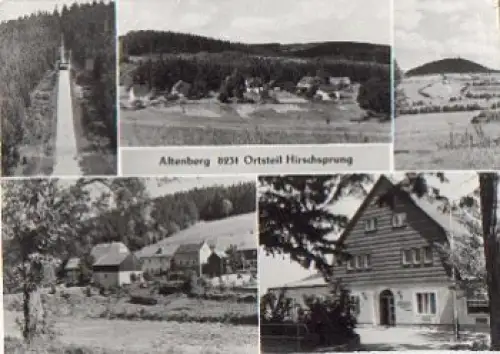 01773 Hirschsprung Altenberg o  11.5.1979