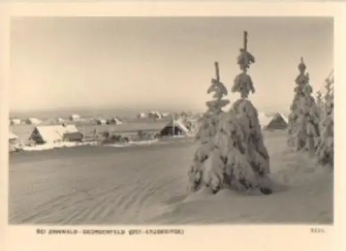 01773 Zinnwald-Georgenfeld Winter Schnee o 06.02.1952