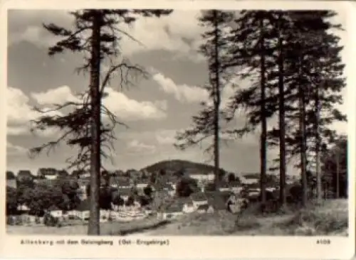 01773 Altenberg mit dem Geisingberg o 21.6.1965