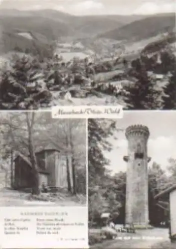 98693 Manebach Wandrers Nachtlied o 16.04.1979