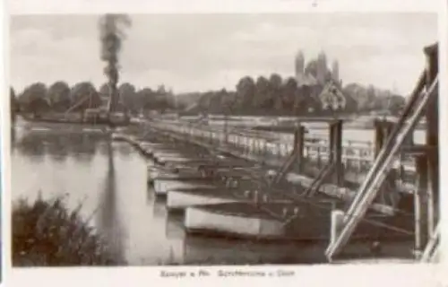 67346 Speyer Schiffbrücke und Dom Dampfschiff o 29.9.1932