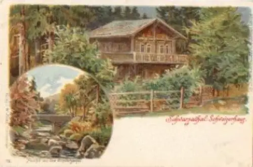 98744 Schwarzathal, Schweizerhaus Litho * ca. 1900