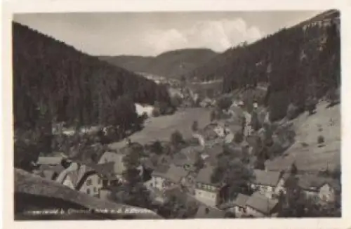 99885 Schwarzwald von Käfernburg Thüringen * ca. 1940