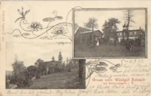 08209 Reiboldsgrün Gruss vom Waldgut Zobisch o 17.9.1902