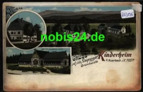 08209 Grünhaide Leipziger Kinderheim Farblitho *ca. 1900