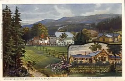 08209 Grünhaide Leipziger Kinderheim Künstlerkarte o 1911