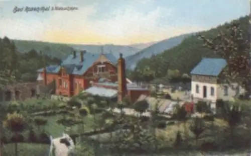 08491 Netzschkau Bad Rosenthal o 29.9.1909