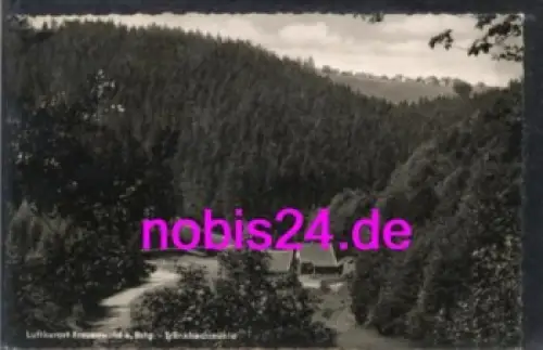 98711 Frauenwald Tränkbachmühle o ca.1962