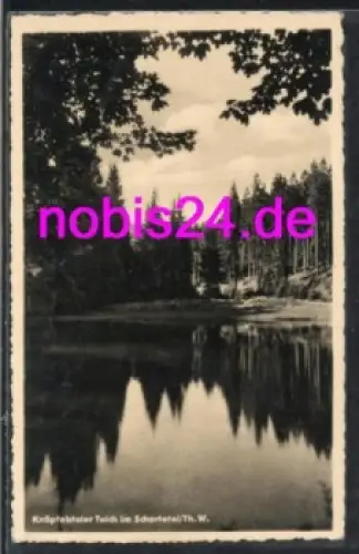 98714 Stützerbach Knöpferstaler Teich o 16.9.1959