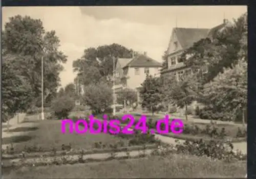 23999 Insel Poel Schwarzer Busch *ca.1965