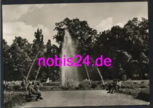 38889 Blankenburg Harz Im Thiepark o 18.10.1973