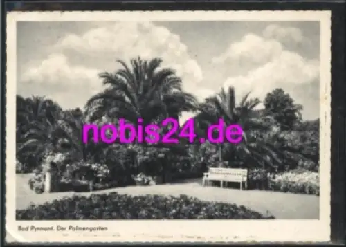31812 Bad Pyrmont Palmengarten o 17.2.1960
