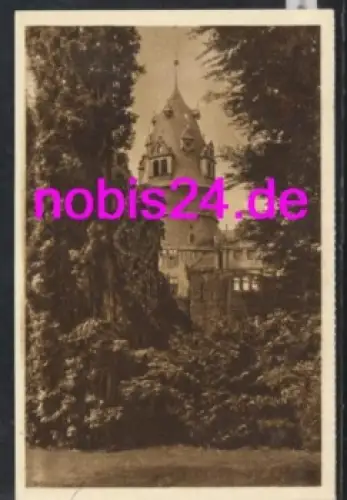 32756 Detmold  Blick zum Schloß   ca.1920