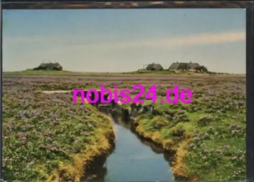 25859 Halliglandschaft  *ca.1960